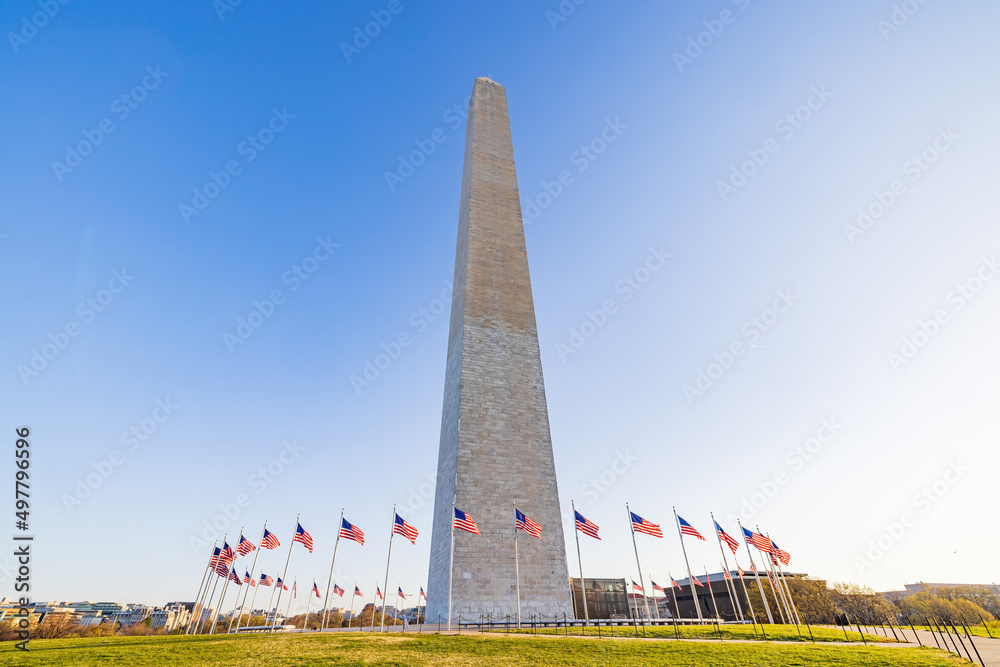 Fototapeta premium Sunny view of the Washington Monument
