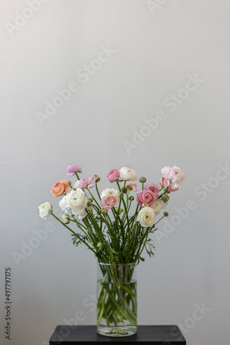 Obraz na płótnie Ranunculus flowers in a vase. Place for text. Grey background