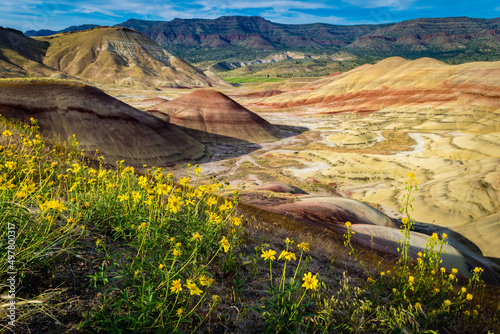 landscape with flowers and badlands photo
