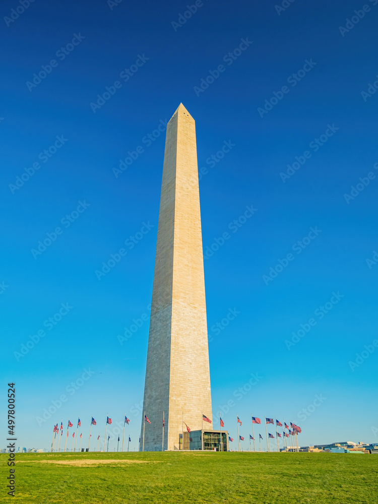 Sunny view of the Washington Monument