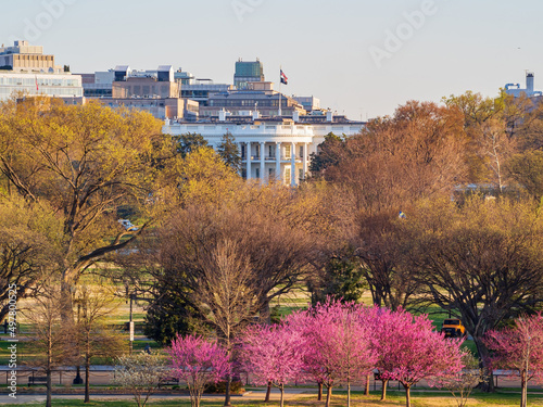 Sunny view of The White House © Kit Leong