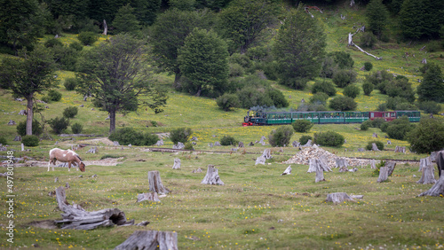 Eine schwarze Dampflok zieht die grünen Wagons der südlichsten Bahn der Erde durch die grünen Graslandschaften des Nationalparks auf Feuerland photo