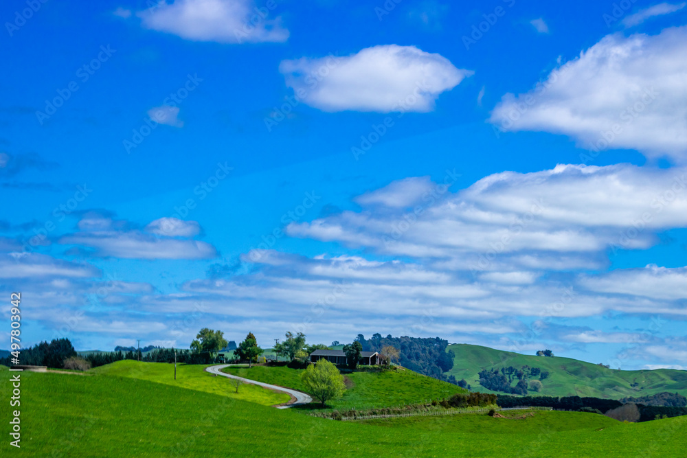 A drive in the countryside. Matamata, Waikato, New Zealand