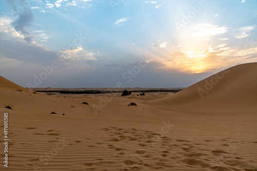 Dune near Abu Dhabi at sundown