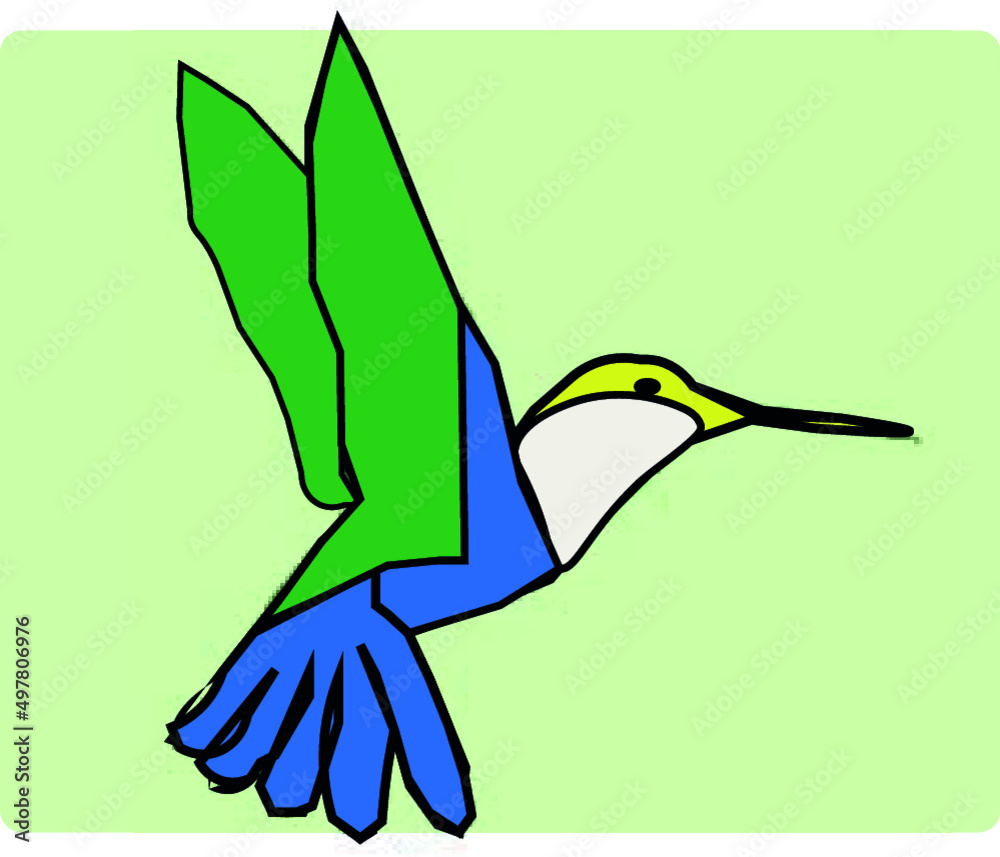 ave ilustraçao, vetor, natureza, Brasil,  colibri