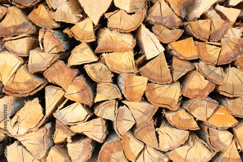 冬の暖炉ストーブの燃料 焚き木のクヌギの木
Winter fireplace stove fuel firewood oak tree 冬の暖炉ストーブの燃料 焚き木のクヌギの木
Winter fireplace stove fuel firewood oak tree