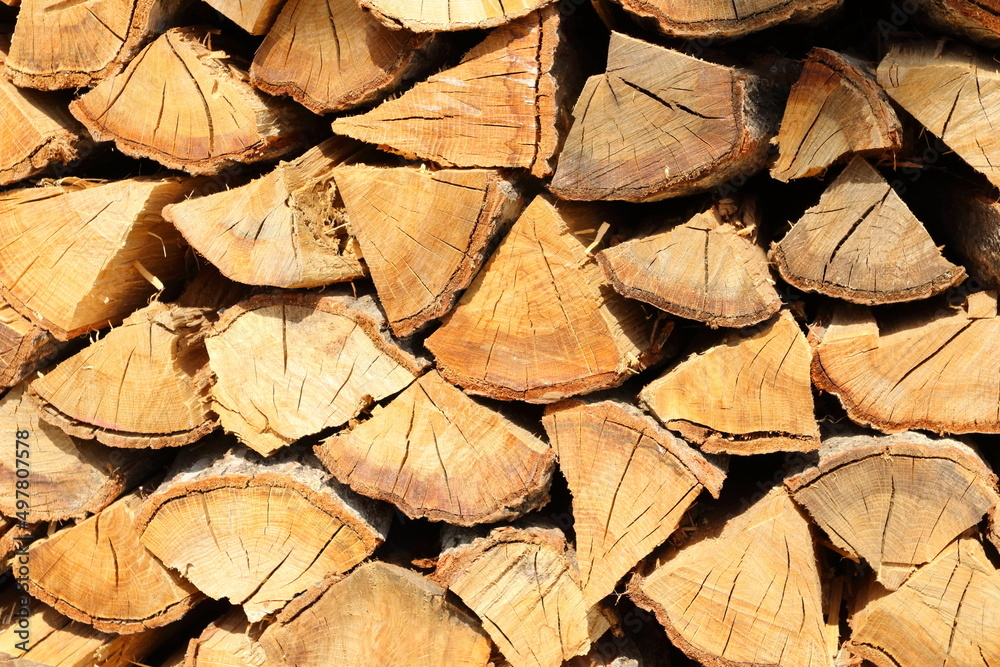 冬の暖炉ストーブの燃料 焚き木のクヌギの木
Winter fireplace stove fuel firewood oak tree 冬の暖炉ストーブの燃料 焚き木のクヌギの木
Winter fireplace stove fuel firewood oak tree