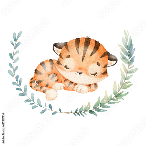 Digital watercolor. Digitally drawn illustration of a cute cartoon tiger sleeping isolated on a white background. Little cute watercolor animals.