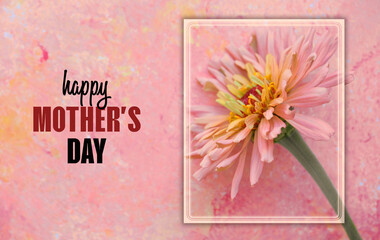 Happy Mother's Day celebration text on pink texture background with zinnia flower.