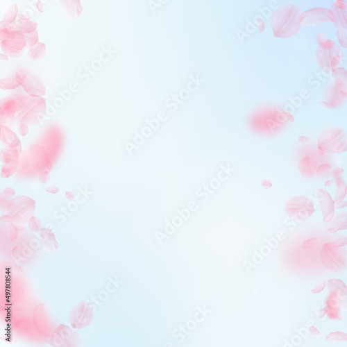 Fototapeta Naklejka Na Ścianę i Meble -  Sakura petals falling down. Romantic pink flowers borders. Flying petals on blue sky square background. Love, romance concept. Mind-blowing wedding invitation.