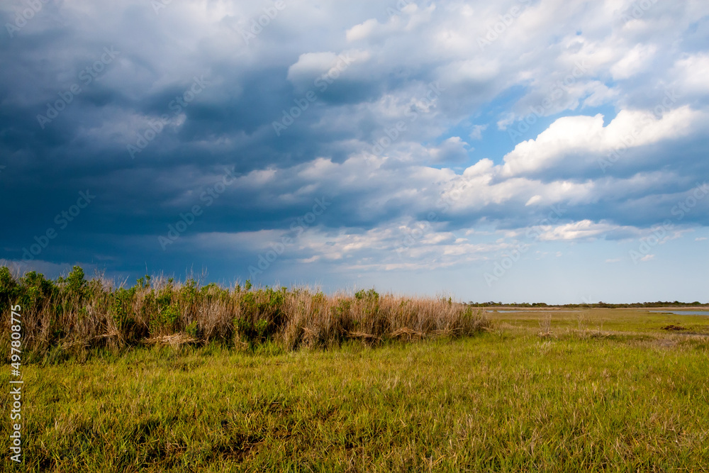 Salt marsh wetlands at Assateague Island National Seashore, MD