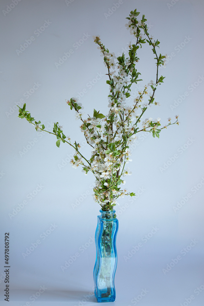 bouquet  of a blossoming pear in a vase on a gray background
