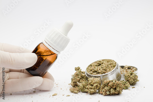 marijuana oil dispenser in the hands of specialist with gloves, grinder with buds, white background