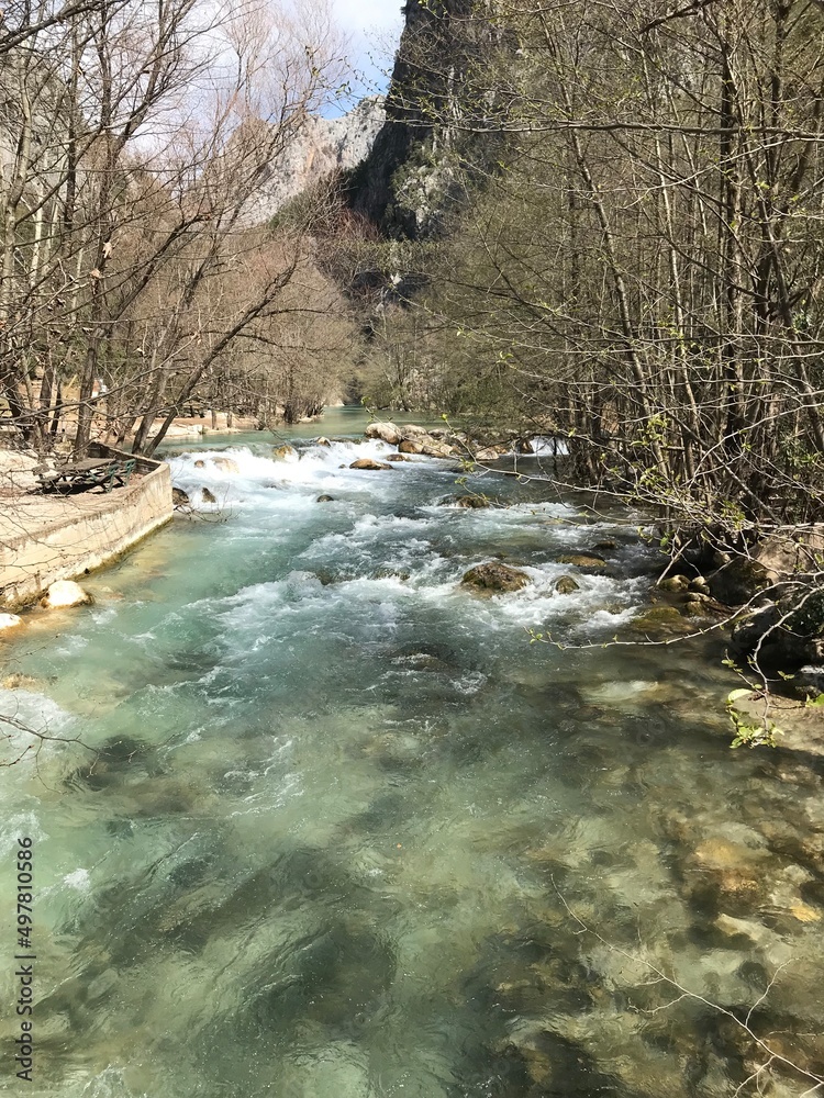 Naklejka premium river in the forest