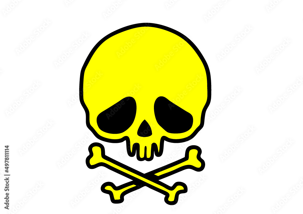 skull pirat funny