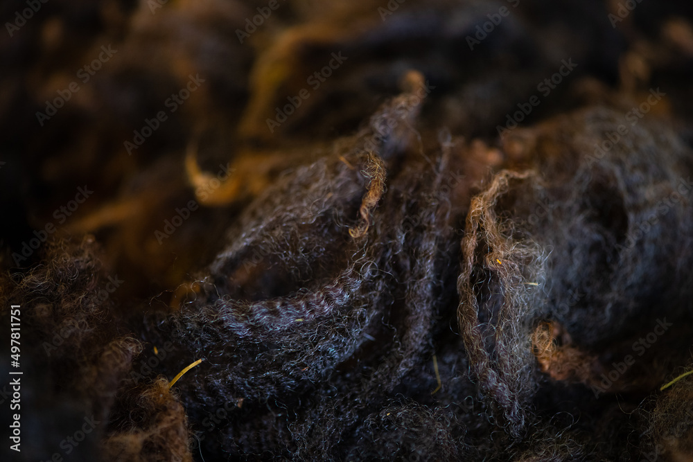 Obraz premium Raw Wool Dark