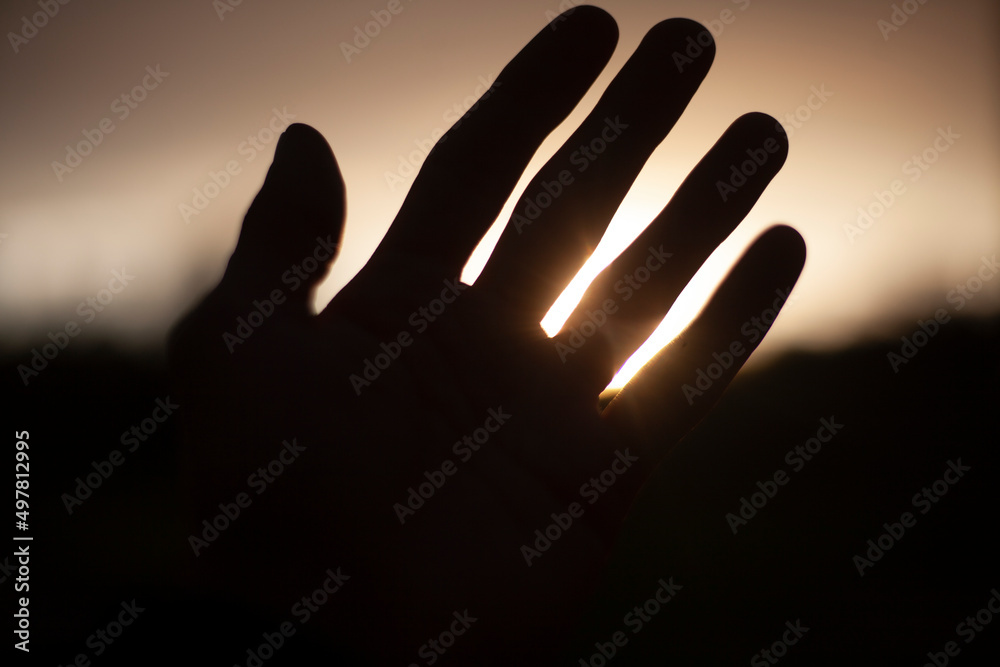 Palm against background of sun. Hand is in details. Fingers let in light. Lse sun through skin of hand. Man's long fingers. Sunset outside.