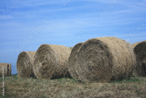 hay rolls in tuscany, italy