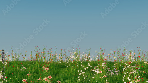 Spring Field with Long Grass, Wild Flowers and clear blue sky. Nature Background with space for text.