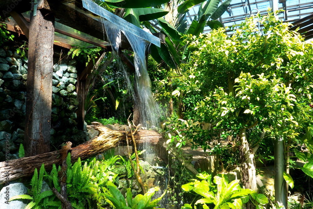 Obraz premium 温室の中に作られた人工の滝 