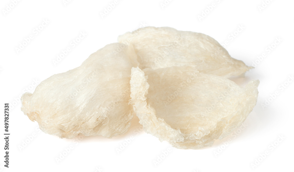 Edible bird's nests isolated on white background. Edible bird's nests isolated on white background.