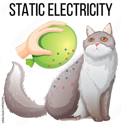 Static electricity experiment with balloon and cat