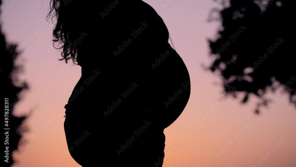 uncovered belly of a pregnant woman in the pink light of the sunset uncovered belly of a pregnant woman in the pink light of the sunset