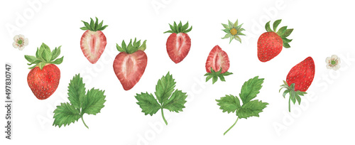 Watercolor painting set of strawberries, leaves, flowers. Design elements for meny, invitation, poster photo