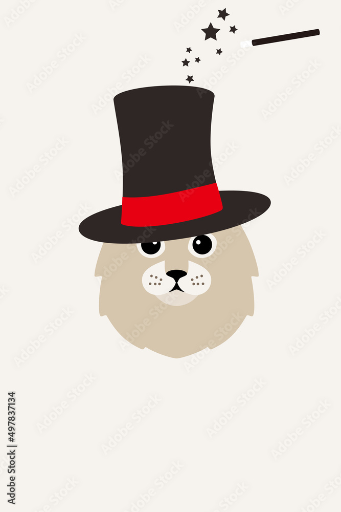 Magic hat, American curl with magic hat and magic wand, fashion portrait of cat Magic hat, American curl with magic hat and magic wand, fashion portrait of cat
