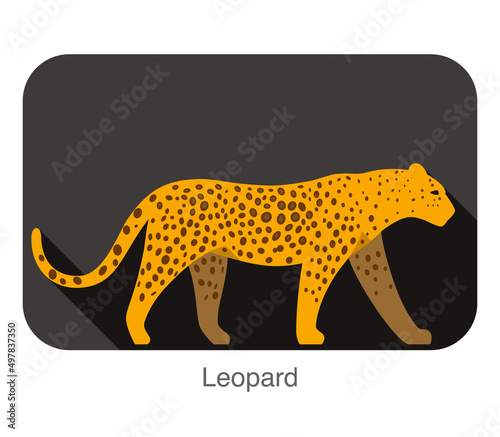 Fototapeta Naklejka Na Ścianę i Meble -  Leopard walking side flat 3D icon design