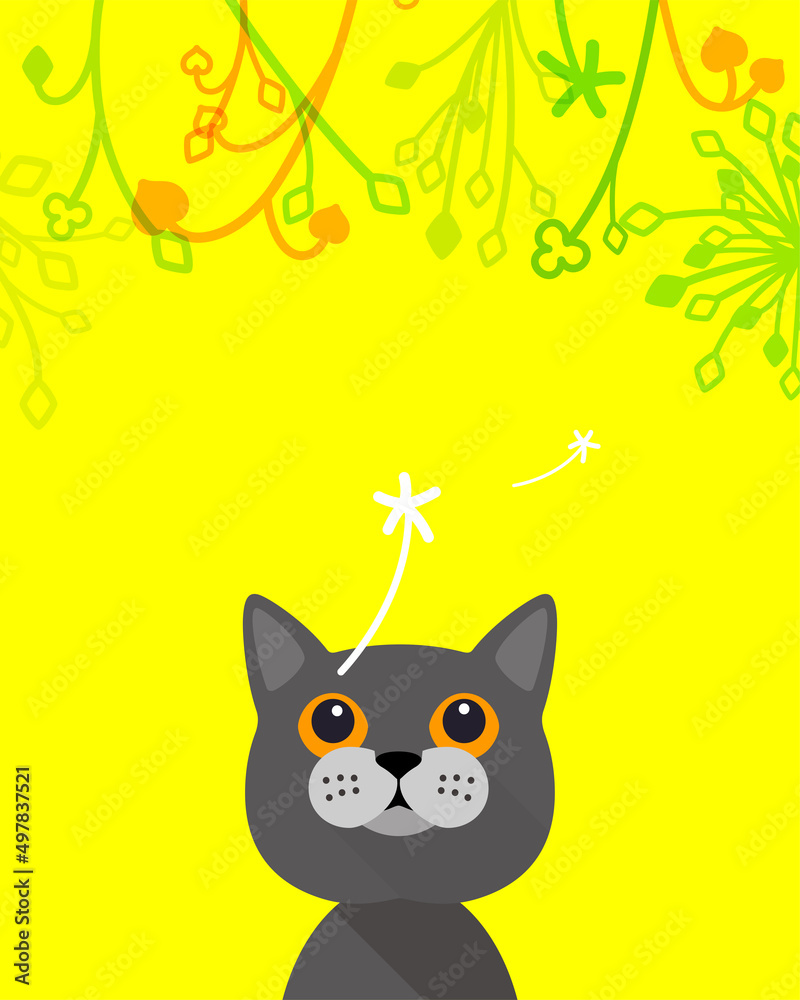 Cat looking up the flower and dandelion, cartoon vector