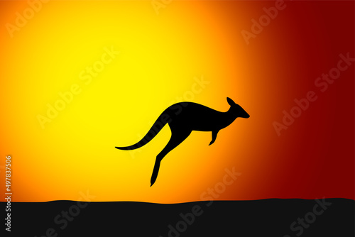 Kangaroo jumping front the sun, sunset, silhouette