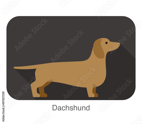 Dachshund Breed dog standing on the ground, side, dog cartoon image series