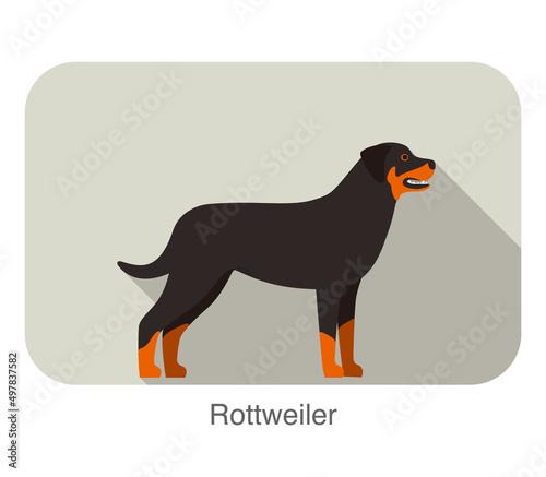 Rottweiler breed dog standing on the ground, side, dog cartoon image series
