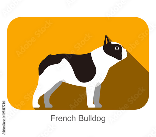 French Bulldog breed flat icon design, vector illustration