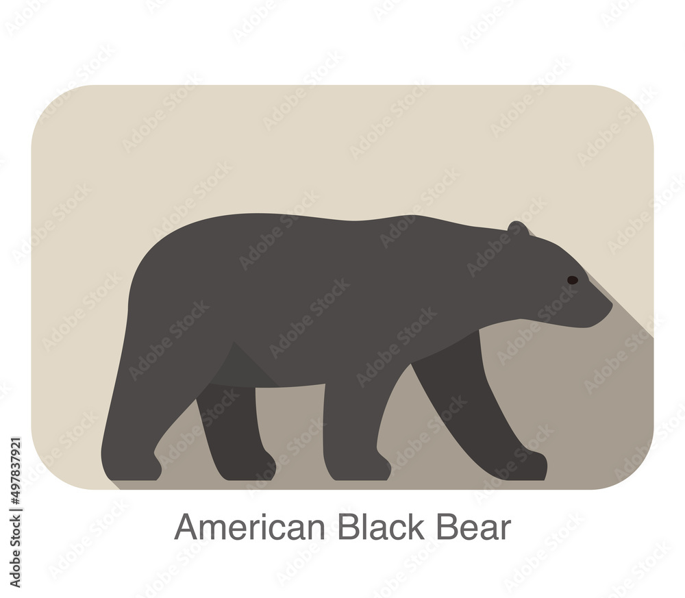 Obraz premium American black bear walking side flat 3D icon design, vector illustration