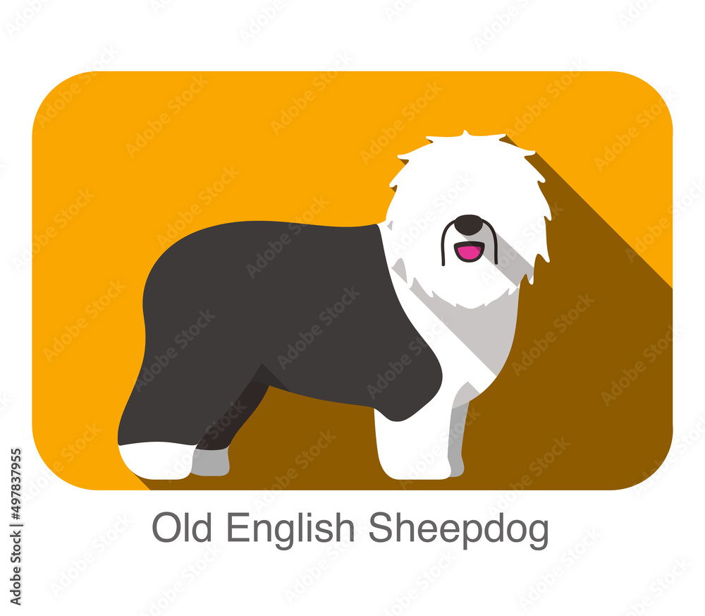 Breed old english sheepdog standing on the ground, side, face forward, dog cartoon image Breed old english sheepdog standing on the ground, side, face forward, dog cartoon image