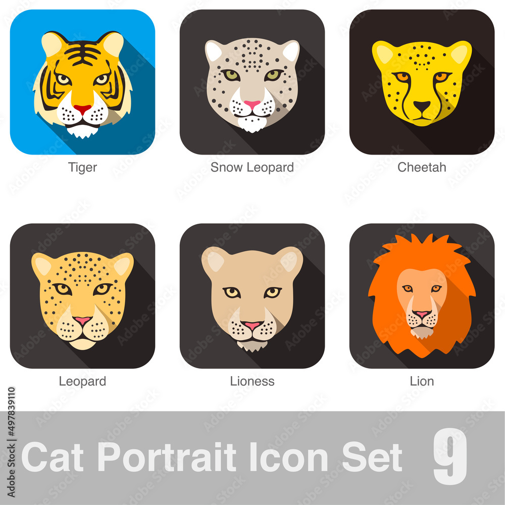 Big cat face tiger, cheetah, lion, leopard cartoon flat icon