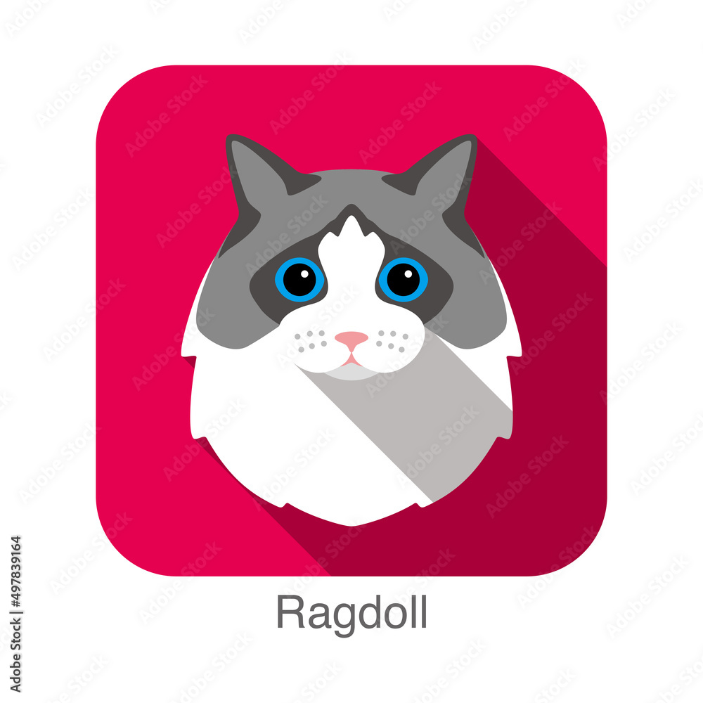 Ragdoll cat - Free animals icons