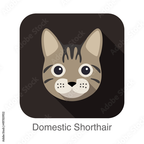 Domestic Shorthair, Cat breed face cartoon flat icon design