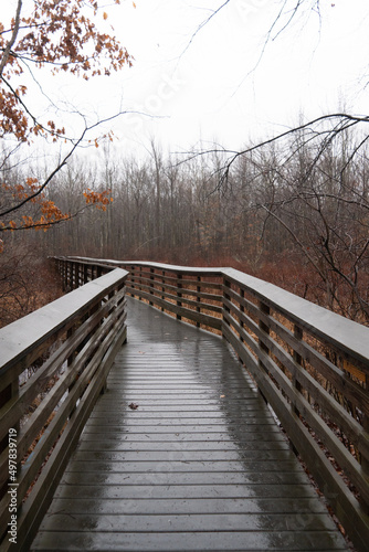 wooden bridge in swamp © Bivic