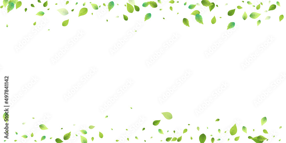 Leaves Green Falling Flying Foliage Leaf Tea Mint Leaves Green Falling Flying Foliage Leaf Tea Mint