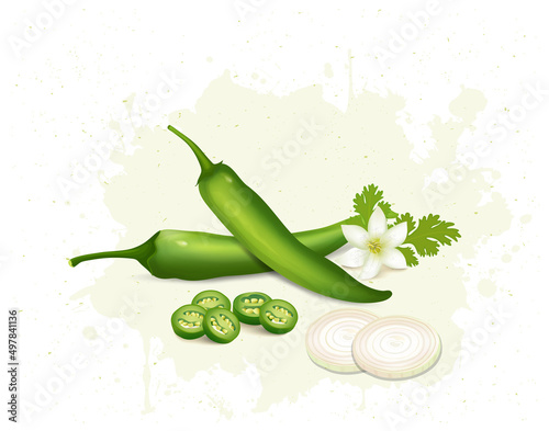 Set of two Green chilli vegetables with chilli and online slices vector illustration