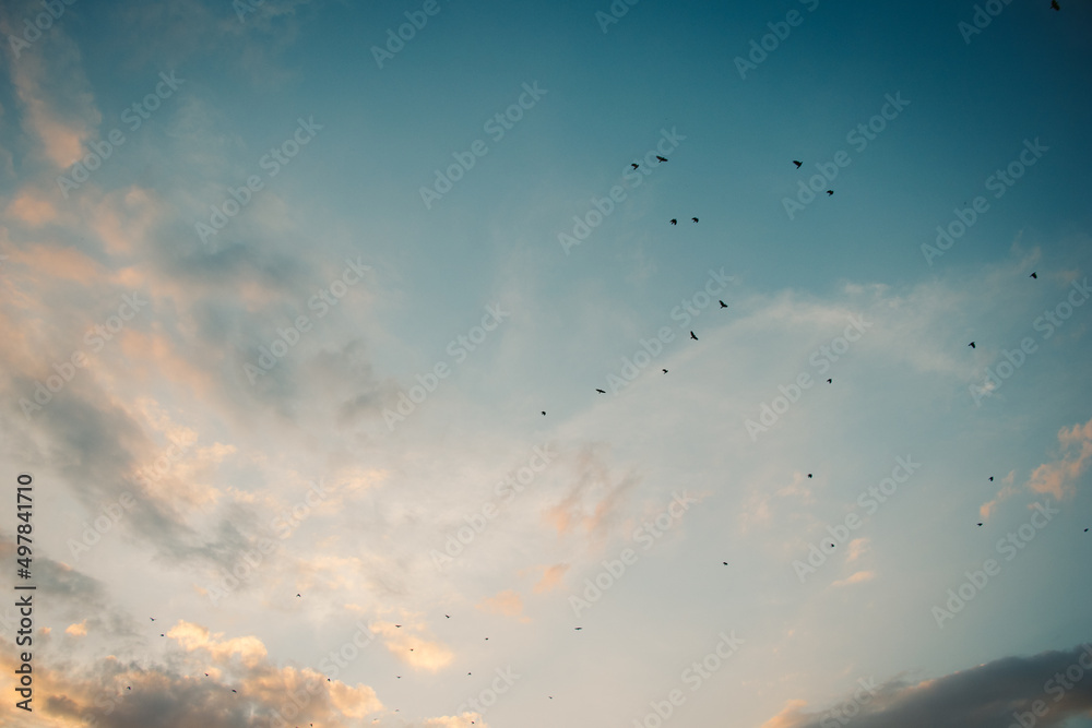 Obraz premium Sky