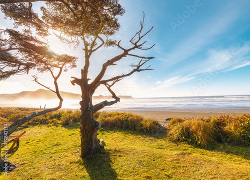 фотографія Pacific coastline containing beach, coast, and view of the pacific ocean