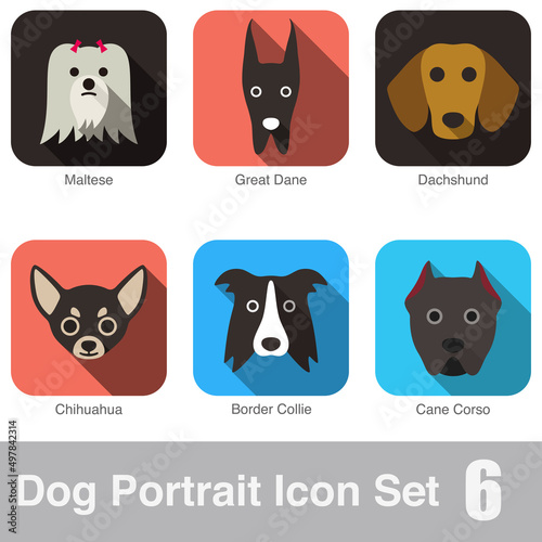 Dog face portrait icon design series