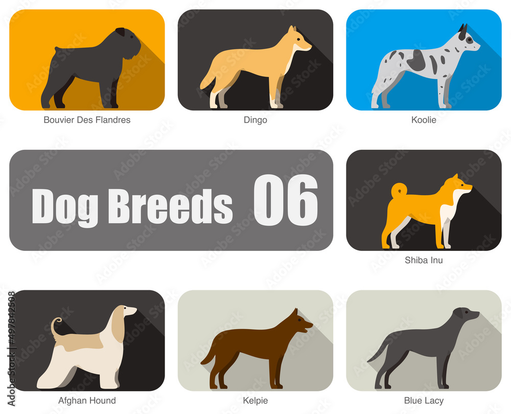 Dog breeds, standing on the ground, side view, vector illustration, dog cartoon image series