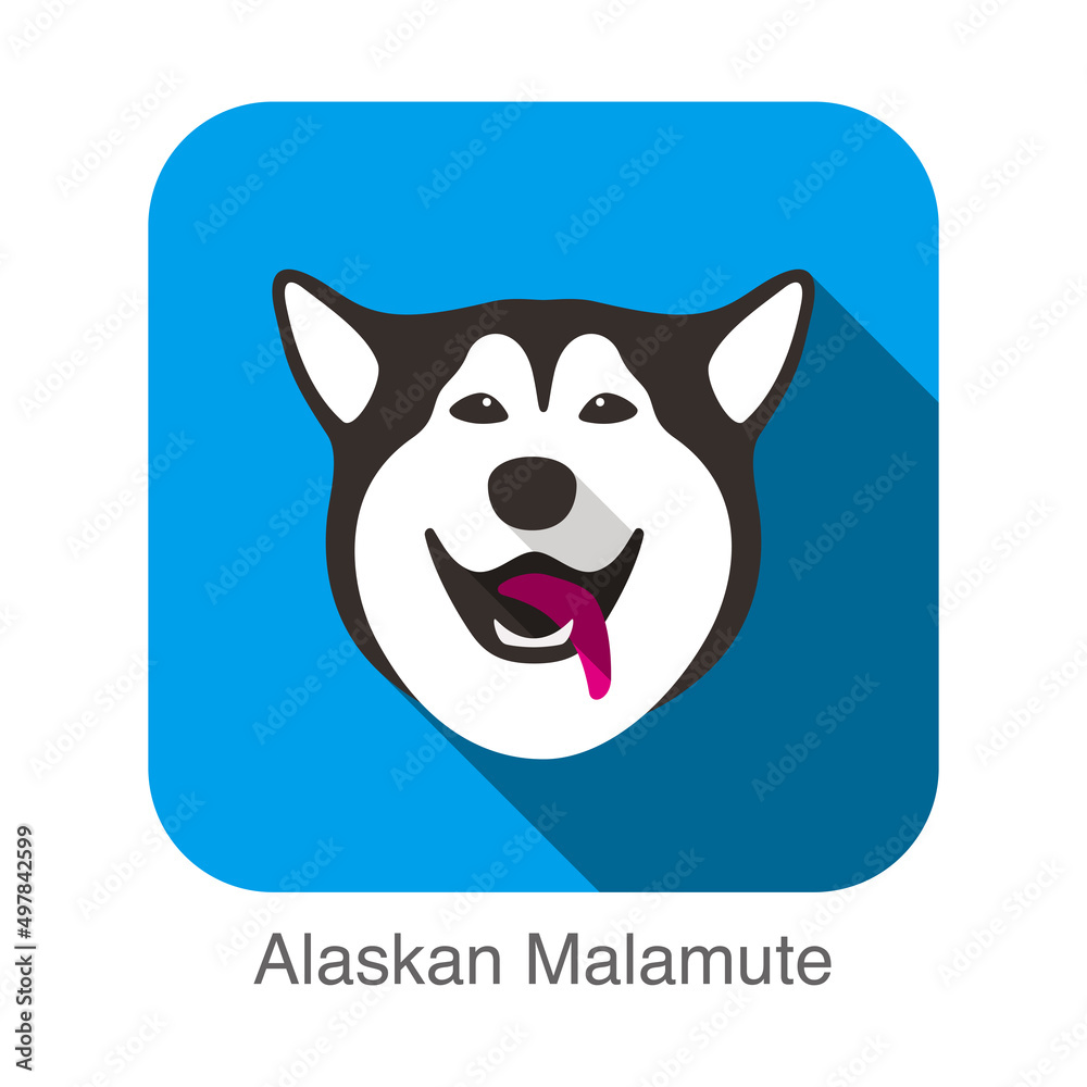 Alaskan Malamute dog character, dog breed series