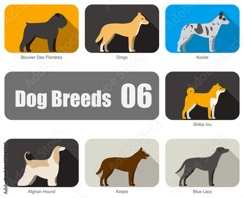 Dog breeds  standing on the ground  side view  vector illustration  dog cartoon image series