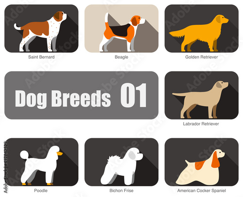 Dog breeds, standing on the ground, side view, vector illustration, dog cartoon image series